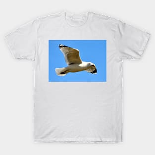 Seagull on Hunt T-Shirt